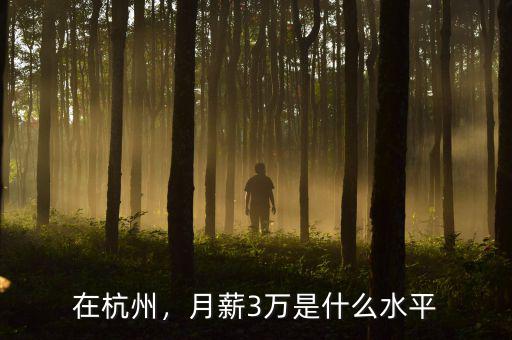 在杭州，月薪3萬(wàn)是什么水平