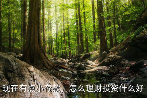 現(xiàn)在有點小存款，怎么理財投資什么好