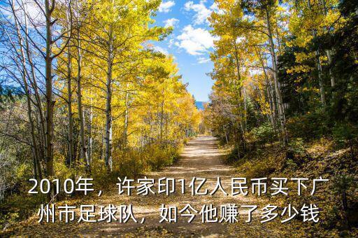 2010年，許家印1億人民幣買下廣州市足球隊(duì)，如今他賺了多少錢