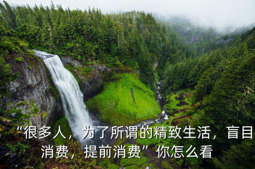“很多人，為了所謂的精致生活，盲目消費(fèi)，提前消費(fèi)”你怎么看
