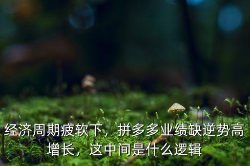 經(jīng)濟周期疲軟下，拼多多業(yè)績?nèi)蹦鎰莞咴鲩L，這中間是什么邏輯