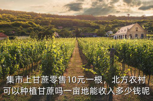 集市上甘蔗零售10元一根，北方農(nóng)村可以種植甘蔗嗎一畝地能收入多少錢呢
