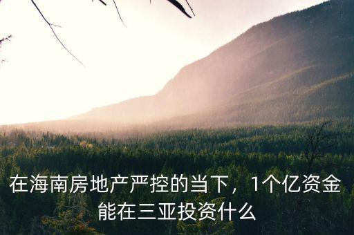 在海南房地產(chǎn)嚴控的當下，1個億資金能在三亞投資什么