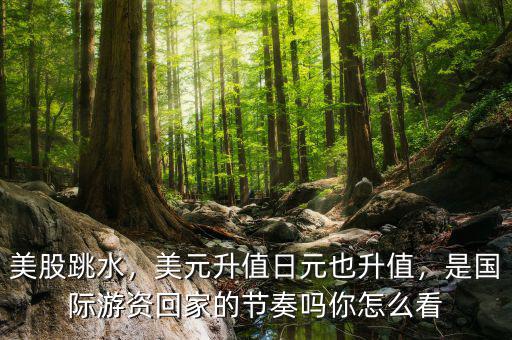 美股跳水，美元升值日元也升值，是國際游資回家的節(jié)奏嗎你怎么看