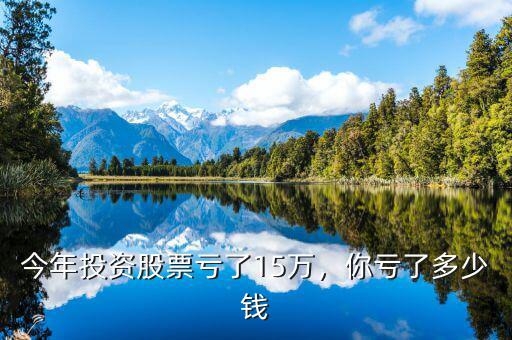 今年投資股票虧了15萬，你虧了多少錢