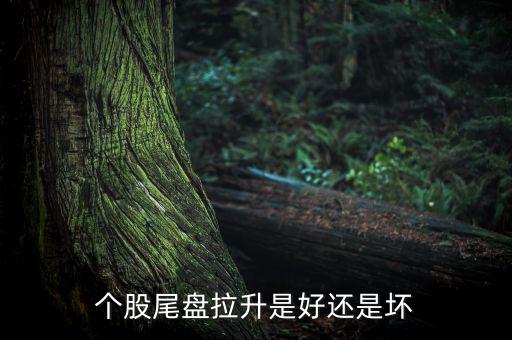股票尾盤(pán)拉升多少為好,股票尾盤(pán)拉升是好是壞