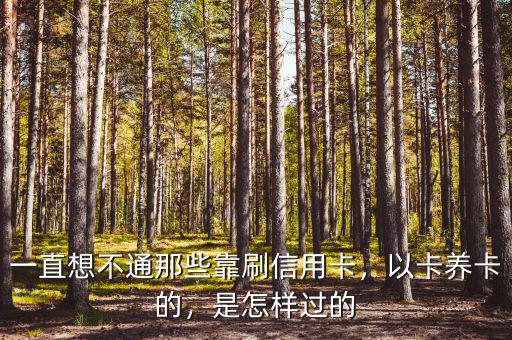 一直想不通那些靠刷信用卡，以卡養(yǎng)卡的，是怎樣過的