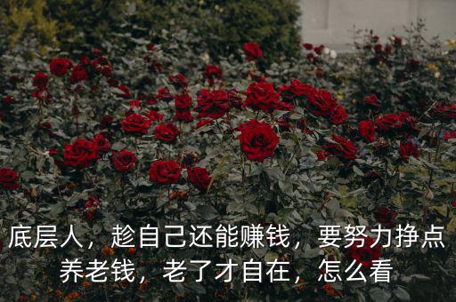 底層人，趁自己還能賺錢，要努力掙點養(yǎng)老錢，老了才自在，怎么看