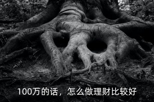 100萬(wàn)的話(huà)，怎么做理財(cái)比較好
