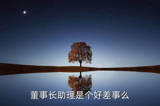 商務(wù)部部長助理是什么級(jí)別,主任助理是什么職務(wù)