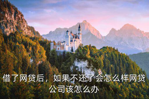 借了網(wǎng)貸后，如果不還了會(huì)怎么樣網(wǎng)貸公司該怎么辦