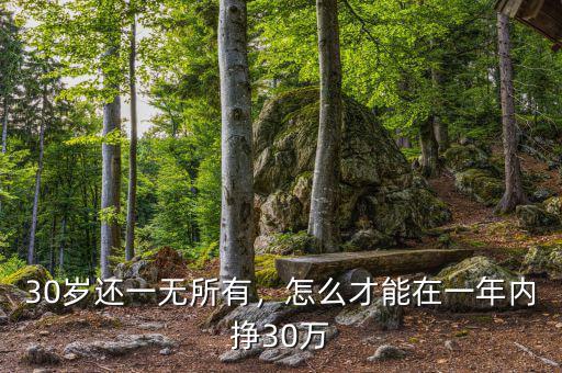 30歲還一無(wú)所有，怎么才能在一年內(nèi)掙30萬(wàn)