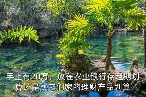 手上有20萬，放在農(nóng)業(yè)銀行存定期劃算還是買它們家的理財產(chǎn)品劃算