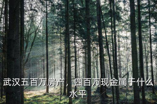 武漢五百萬房產(chǎn)，四百萬現(xiàn)金屬于什么水平