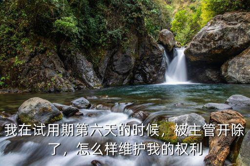 我在試用期第六天的時候，被主管開除了，怎么樣維護我的權(quán)利
