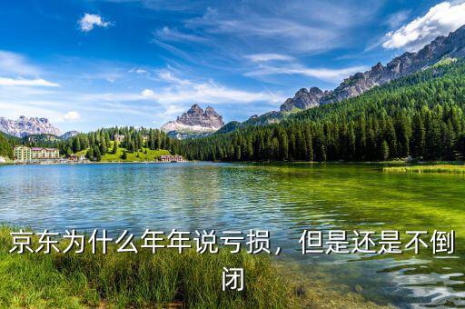 京東為什么年年說(shuō)虧損，但是還是不倒閉