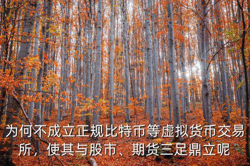 為何不成立正規(guī)比特幣等虛擬貨幣交易所，使其與股市、期貨三足鼎立呢