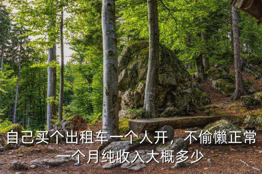 自己買個出租車一個人開，不偷懶正常一個月純收入大概多少