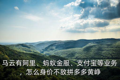馬云有阿里、螞蟻金服、支付寶等業(yè)務(wù)，怎么身價(jià)不敵拼多多黃崢