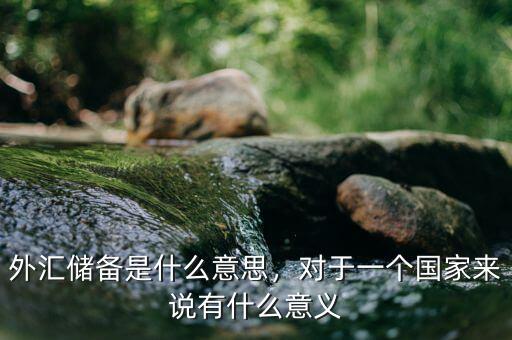 外匯儲(chǔ)備是什么意思，對(duì)于一個(gè)國(guó)家來說有什么意義