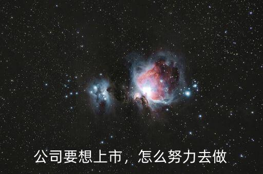 公司要想上市，怎么努力去做