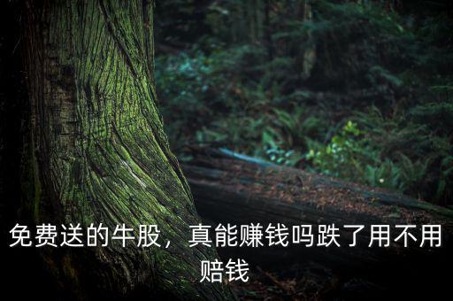 免費(fèi)送的牛股，真能賺錢嗎跌了用不用賠錢