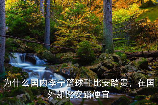 為什么國內李寧籃球鞋比安踏貴，在國外卻比安踏便宜