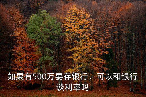 如果有500萬(wàn)要存銀行，可以和銀行談利率嗎