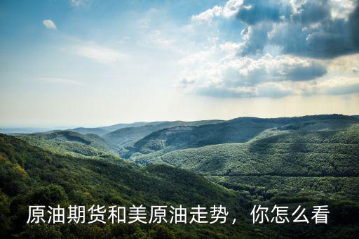 原油期貨和美原油走勢(shì)，你怎么看