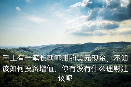 手上有一筆長(zhǎng)期不用的美元現(xiàn)金，不知該如何投資增值，你有沒有什么理財(cái)建議呢