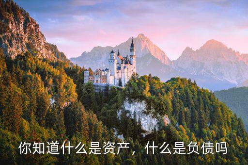 你知道什么是資產，什么是負債嗎