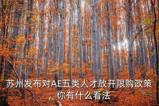 蘇州發(fā)布對AE五類人才放開限購政策，你有什么看法