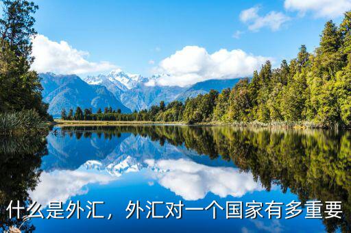 什么是外匯，外匯對一個國家有多重要