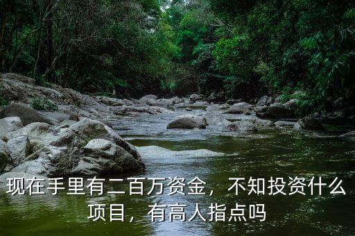 現(xiàn)在手里有二百萬資金，不知投資什么項目，有高人指點嗎
