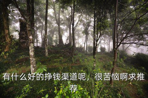 有什么好的掙錢渠道呢，很苦惱啊求推薦