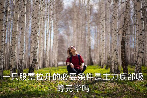 機構在什么情況下才拉升股票,什么情況下券商股漲