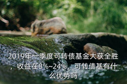 2019年一季度可轉(zhuǎn)債基金大獲全勝，收益在8%~24%，可轉(zhuǎn)債基有什么優(yōu)勢嗎