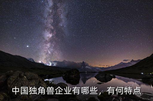 中國(guó)獨(dú)角獸企業(yè)有哪些，有何特點(diǎn)