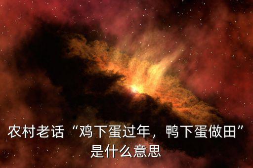 農(nóng)村老話“雞下蛋過年，鴨下蛋做田”是什么意思