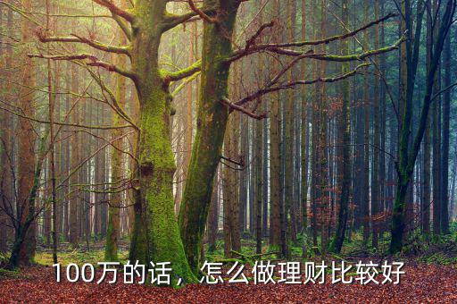 100萬的話，怎么做理財比較好
