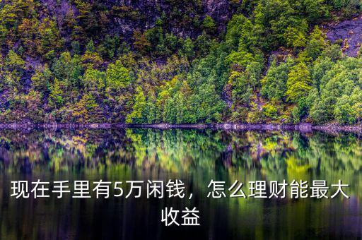 現(xiàn)在手里有5萬閑錢，怎么理財(cái)能最大收益