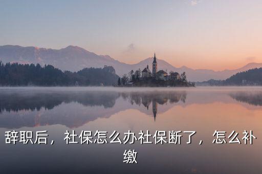辭職后，社保怎么辦社保斷了，怎么補(bǔ)繳