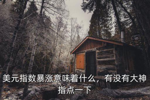 美元指數(shù)暴漲意味著什么，有沒有大神指點一下