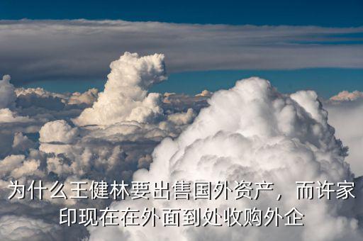 為什么王健林要出售國外資產(chǎn)，而許家印現(xiàn)在在外面到處收購?fù)馄? class=