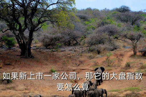 如果新上市一家公司，那它的大盤(pán)指數(shù)要怎么算