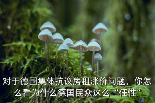 對于德國集體抗議房租漲價問題，你怎么看為什么德國民眾這么“任性”