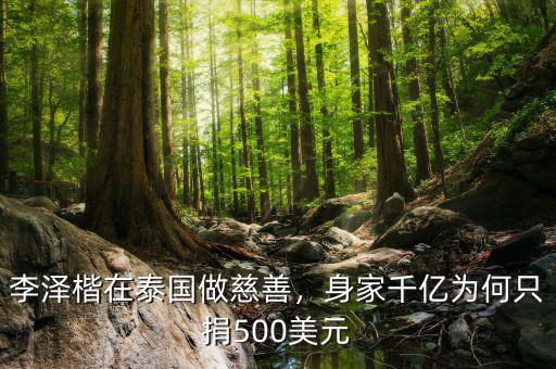 李澤楷在泰國做慈善，身家千億為何只捐500美元