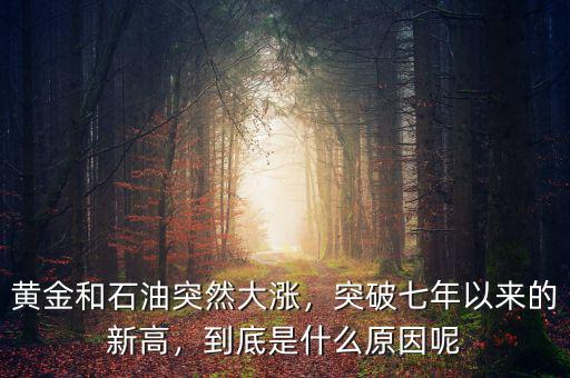 黃金和石油突然大漲，突破七年以來的新高，到底是什么原因呢