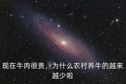 現(xiàn)在牛肉很貴，為什么農(nóng)村養(yǎng)牛的越來越少啦