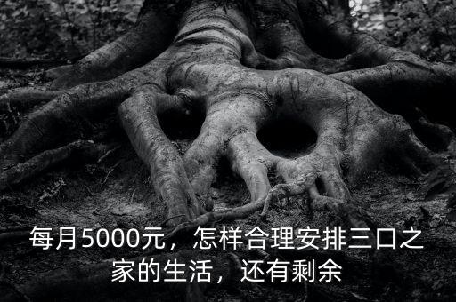 每月5000元，怎樣合理安排三口之家的生活，還有剩余